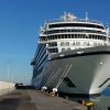 viking sea  viking sky 3